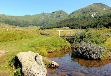 Percorso Marcia Chastreix - Chastreix_Sancy_Fontaine Salee - Photo