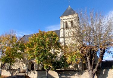 Randonnée Marche Les Ulmes - Les Ulmes 24102024 - Photo