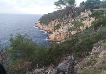 Tour Wandern Saint-Cyr-sur-Mer - chemin des vignes,  port d'alon, la Nartette - Photo