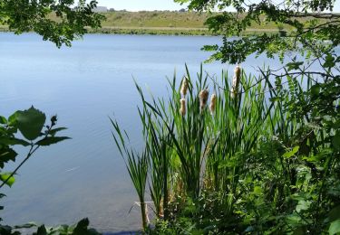 Randonnée Marche Oupeye - La Gravière Brock et au Hemlot  - Photo