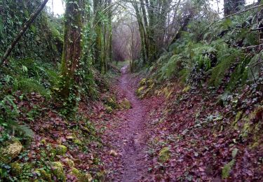 Trail Walking Lalinde - 19,5km - Photo