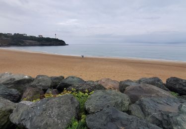 Tocht Lopen Anglet - Running around Chambre d'Amout - Photo