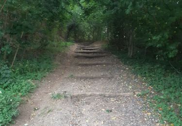 Trail Walking Riemst - petite incursion en Hollande  - Photo