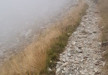 Randonnée Marche Saint-Martin-Vésubie - Saleze - lac Negre -pas de Prefounds - nuit refuge Questa - Photo