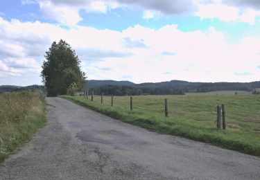 Tour Zu Fuß Leopoldschlag - Nordwaldkammweg Verbindungsweg V10 - Photo