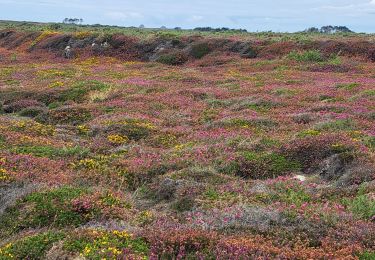 Randonnée Marche Camaret-sur-Mer - T-St-Julien - Photo