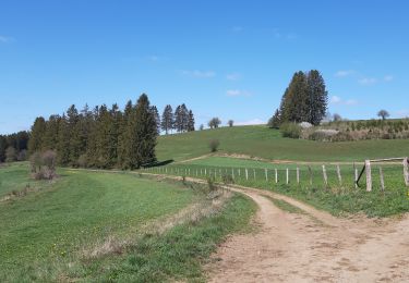 Tocht Stappen Léglise - Volaiville - Winville - Photo