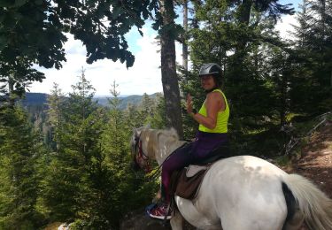 Trail Horseback riding Turquestein-Blancrupt - tipis col de lengin cimetiere militaire main de fer croix simon - Photo