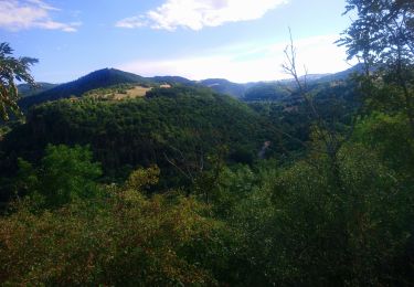 Tour Wandern Saint-Diéry - Roussat  - Photo