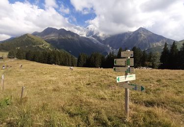 Excursión Senderismo Saint-Gervais-les-Bains - coldu tricot par les hou hes - Photo