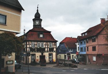 Randonnée A pied Bad Soden-Salmünster - Bad Soden-Salmünster Wanderweg Nr. 12 - Photo