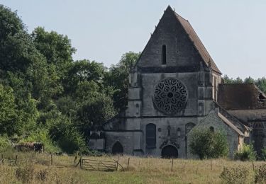 Tocht Stappen Vez - Donjon de Vez - Photo