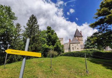 Tocht Te voet Gemeinde Raach am Hochgebirge - Eiben Rundwanderweg (Schlagl) - Photo