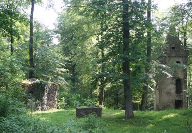 Randonnée A pied Hanau - Spessartspuren - Niederrodenbach - Barbarossaquelle und Klosterruine - Photo