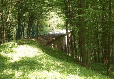 Excursión A pie Desconocido - Weidlingau - Laab im Walde - Photo