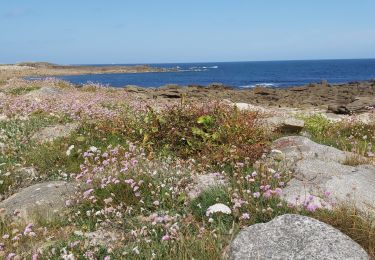 Tocht Stappen Pleumeur-Bodou - Ile Grande  - Photo