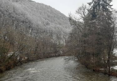 Tocht Stappen Aywaille - rando 18a quarreux . béhé .  nonceveux  - Photo