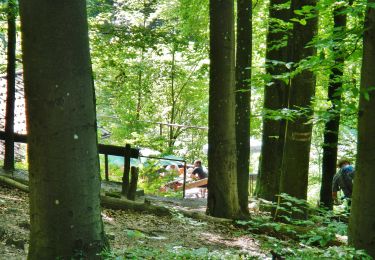 Randonnée A pied Markgröningen - DE-Markgröningen - Leudelsbach - Tamm (SAV Blauer Punkt) - Photo