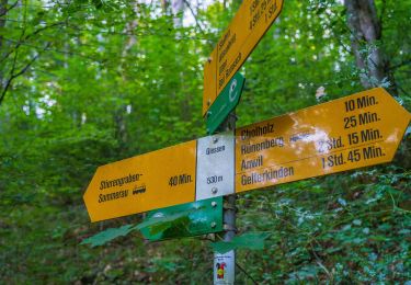 Randonnée A pied Rünenberg - Stolten - Sommerau - Photo