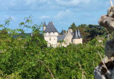 Tour Wandern Lémeré - Lémeré - le Coudray Château du Rivau - 15.6km 140m 3h20 (1h) - 2024 08 25 - Photo