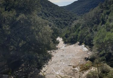 Percorso Marcia Mialet - Mialet Paussan les Puechs - Photo