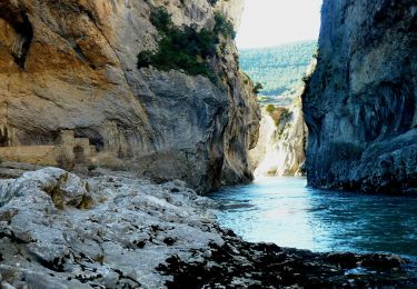 Percorso A piedi Lumbier - Foz de Lumbier (ruta corta) - Photo