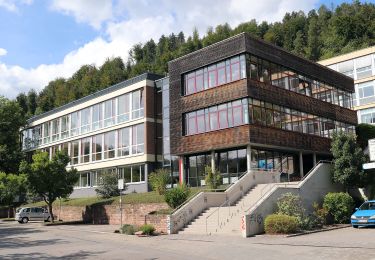 Randonnée A pied Eberbach - Rundwanderweg Am Gymnasium 1: Hohe-Warte-Weg - Photo