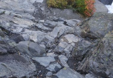 Percorso Marcia  - buerbreen glacier - Photo