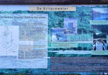 Randonnée A pied Niederanven - J9 Sentier Biergerkräiz 10,5 km - Photo