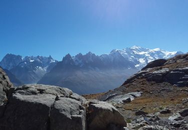 Tocht Stappen Chamonix-Mont-Blanc - Les aiguilles Rouges Chamonix Argentière  - Photo