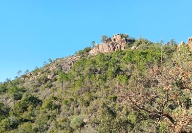 Trail Walking Roquebrune-sur-Argens - Pierre du coucou - Photo