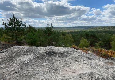 Tour Wandern Fontainebleau - Parking route ronde vers St aigu - Photo