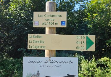 Percorso Marcia Les Contamines-Montjoie - J20 - R19 - Les Contamines-Montjoie et la base de loisirs du Pontet - Photo