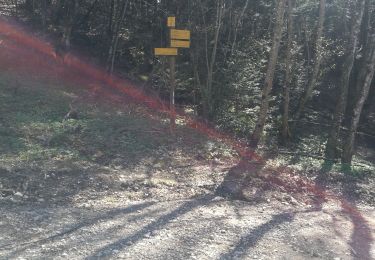 Trail Walking Trévignin - la boucle du Mont Revard par le golet de la pierre et la crémaillère  - Photo