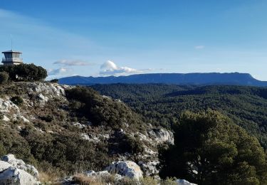 Randonnée Marche Peyrolles-en-Provence - Calanques de Meyrargues - Photo