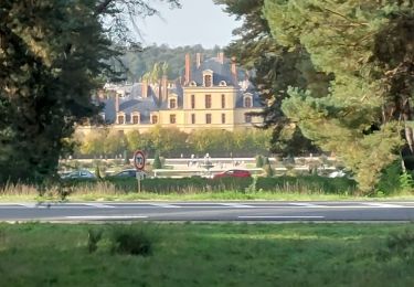 Randonnée Marche Fontainebleau - Fontainebleau Sentier Denecourt N°10 - Photo