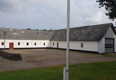 Tour Zu Fuß  - Hjertesti i Harde Skov - Photo