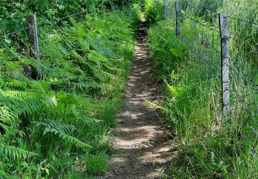 Trail Walking Chimay - Bourlers - Photo