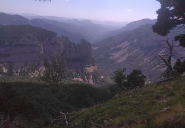 Tour Wandern Châtillon-en-Diois - La Croix du Lautaret - Photo