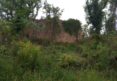 Randonnée Marche Callian - Callian, ruines de Velnasque - Photo