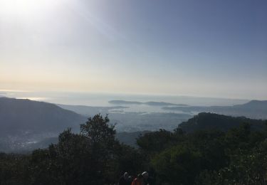 Excursión Senderismo Évenos - Mont Caume +Baou des 4 Oures au départ du col de garde - Photo