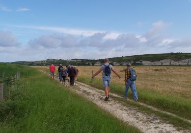 Trail Walking Mortagne-sur-Gironde - Mortagne  - Photo