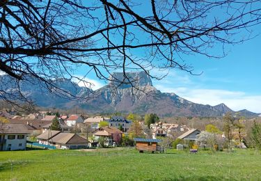 Trail Walking Chichilianne - La Montagnette  - Photo