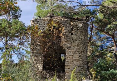 Tour Wandern Montfuron - 20241107m0n - Photo