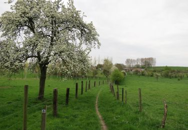 Randonnée A pied Bilzen - Alden Biesen Oranje kruis - Photo
