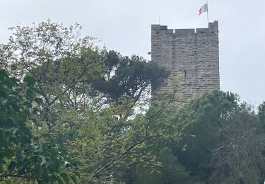 Tour Wandern Sommières - Sommières Junas - Photo