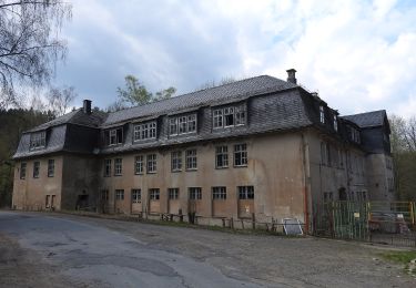 Trail On foot Wurzbach - Gelber Balken - Photo