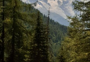 Tour Wandern Chamonix-Mont-Blanc - Argentieres, plan Joran,glacier,croix Lognan,les tines - Photo