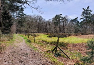 Tocht Stappen Huldenberg - Terlanen - Sint-Agatha-Rode - Photo