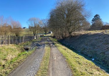 Tour Wandern Sainte-Ode - Sainte Ode 23,6 km - Photo